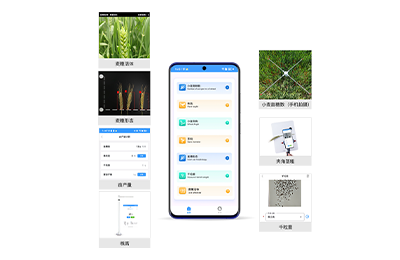 北碚区小麦表型检测仪IN-XM04